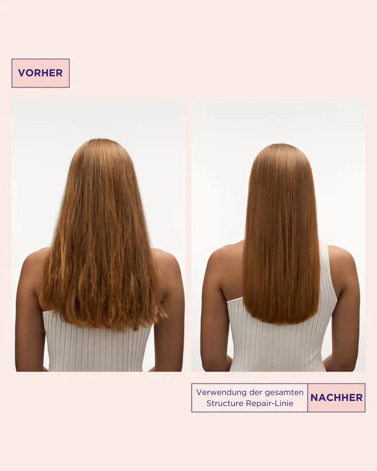 Structure Repair Care Duo - Image 3